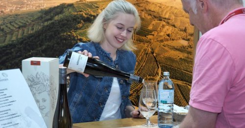 WinEin Weinland in der Welt-Auslage mit edlen Tropfen aus Niederösterreich