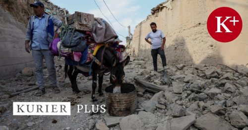 Retter auf vier Hufen: Wie die Esel nach dem Erdbeben halfen