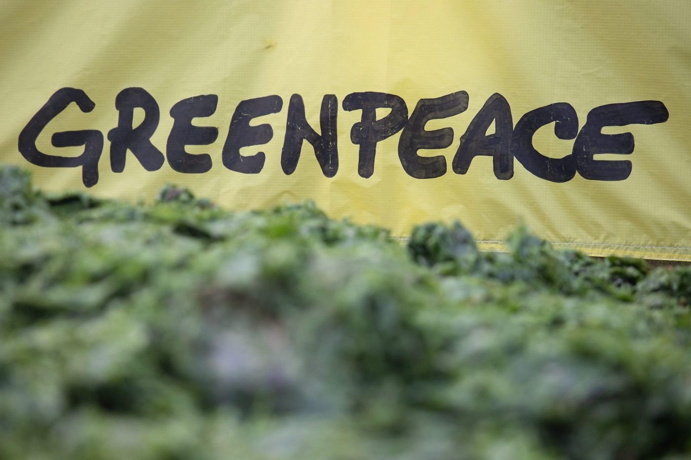 Pays-Bas : Greenpeace contraint l’État à tenir ses engagements d’émissions d’azote
