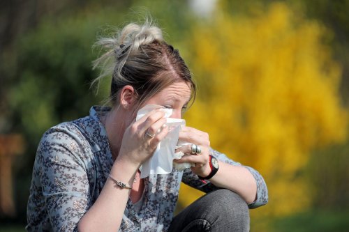 Allergies aux pollens : comment déclenche-t-on l’alerte ?