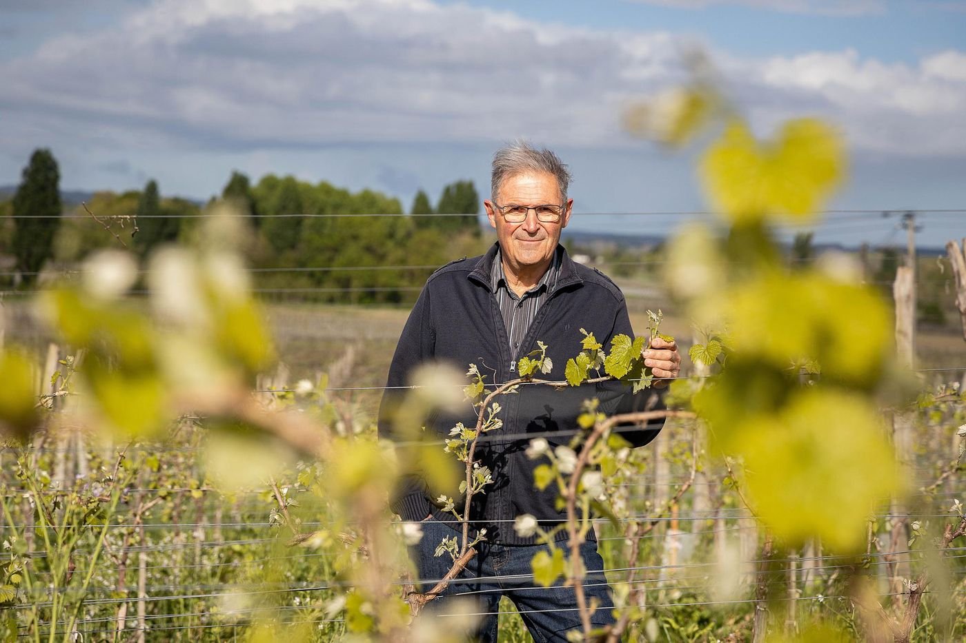Jean-Bernard de Larquier : « Je dois arracher mes plus vieilles vignes, c’est triste »