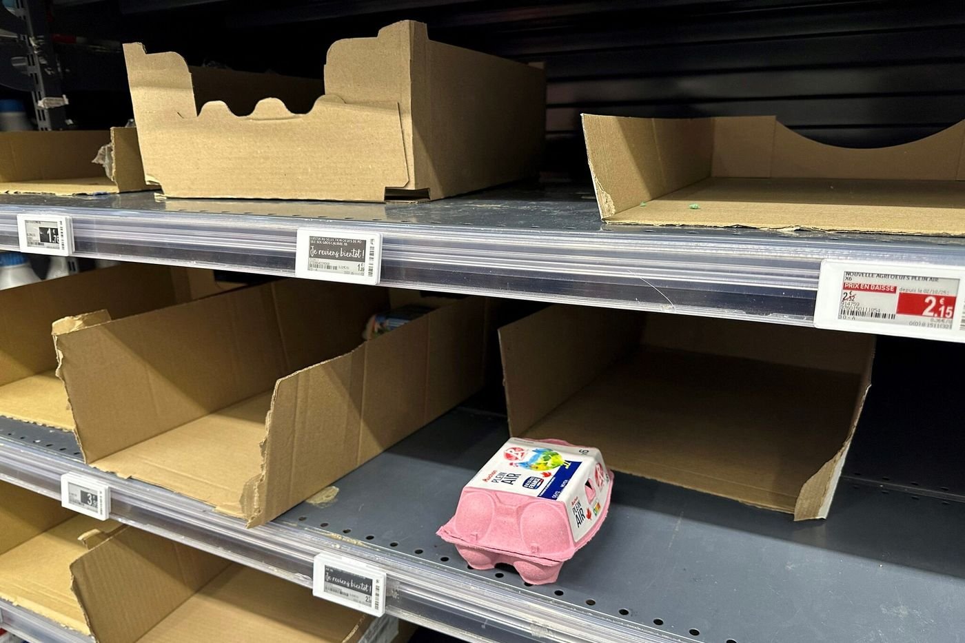 Pénurie d’œufs : pourquoi les rayons sont clairsemés et risquent de le rester