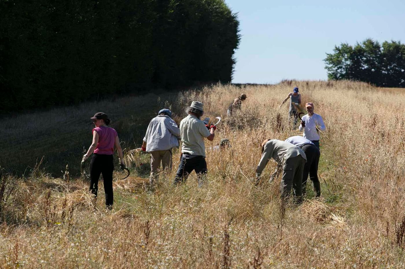 Trois initiatives pour mettre en valeur l’agroécologie