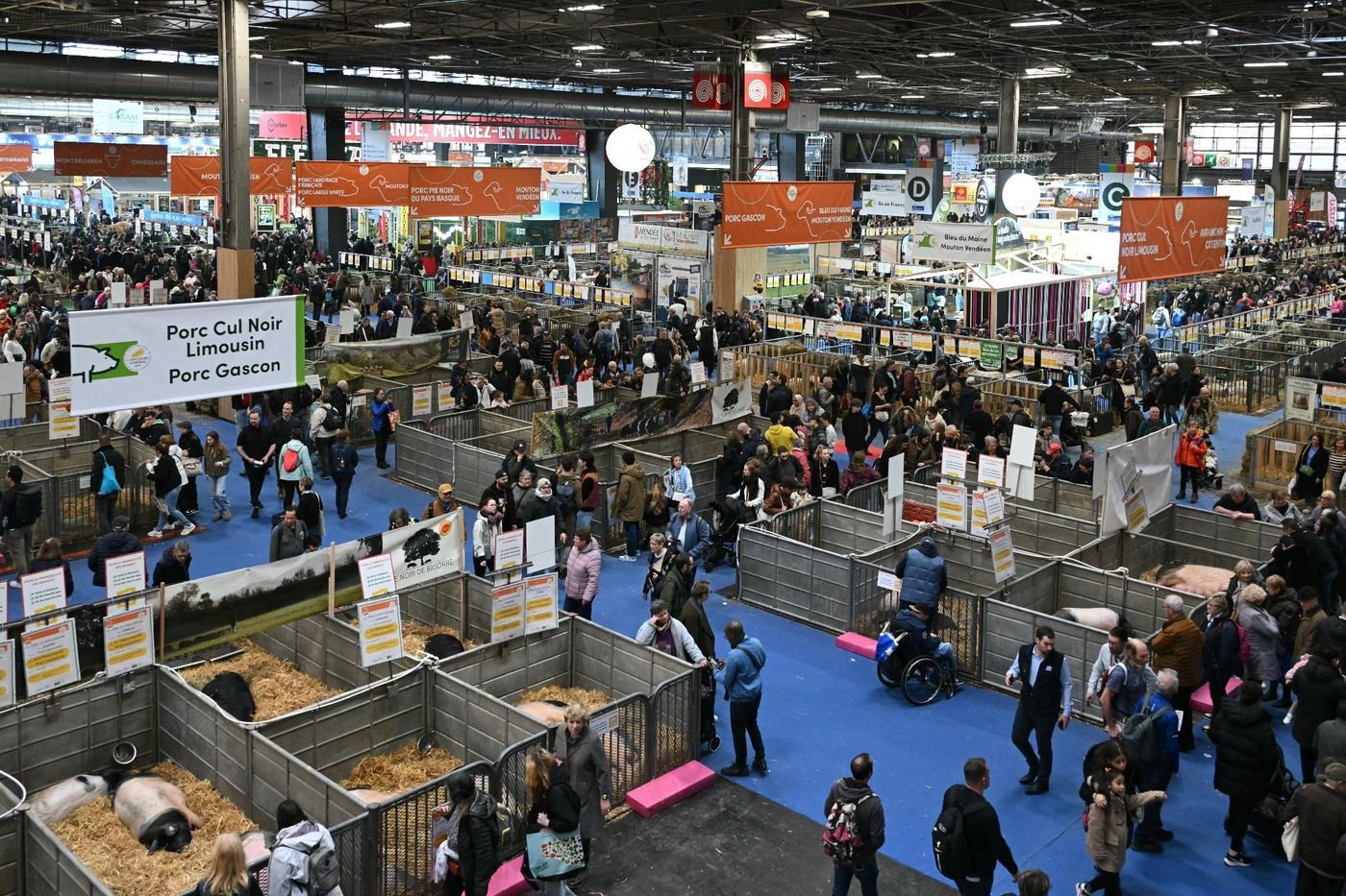 Après la colère, une édition 2025 apaisée du Salon de l’agriculture