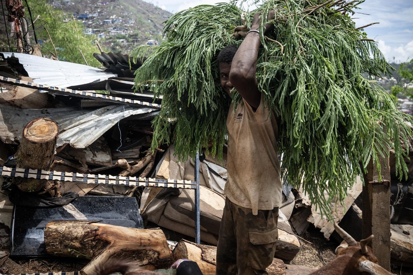 À Mayotte, l’agriculture reprend « avec les moyens du bord »