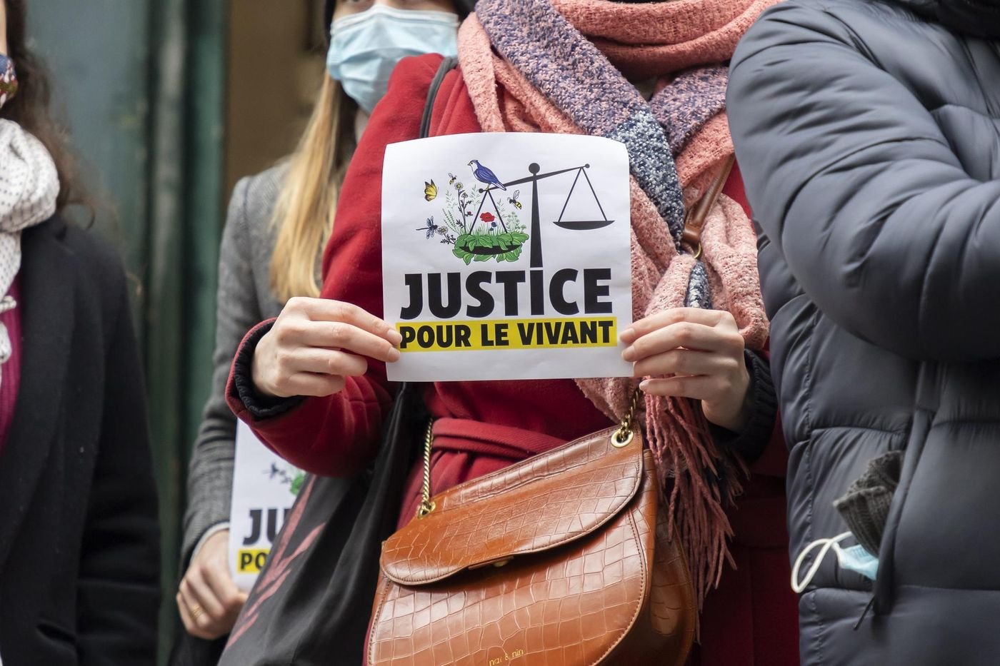 « Justice pour le vivant » : la rapporteure publique propose de réévaluer les pesticides autorisés