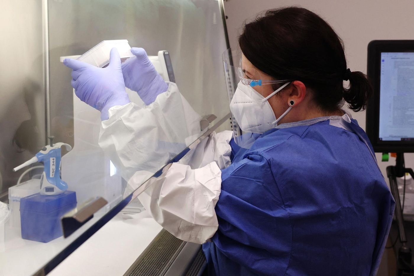 La surveillance de l’épidémie de H5N1 mise à mal par la politique de Donald Trump