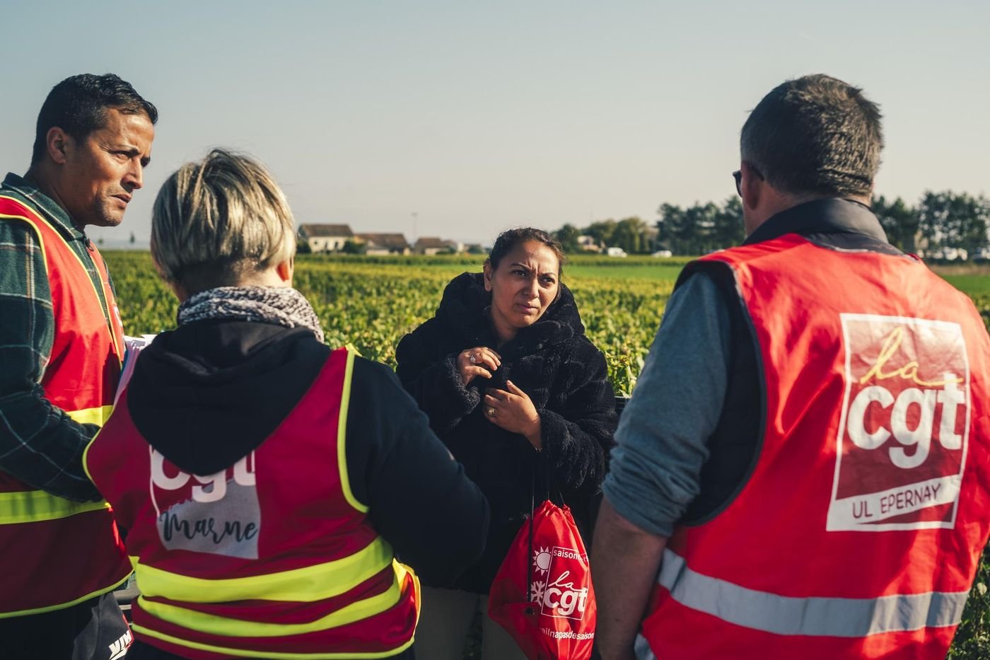 « Vendanges de la honte » : le procès qui secoue la Champagne