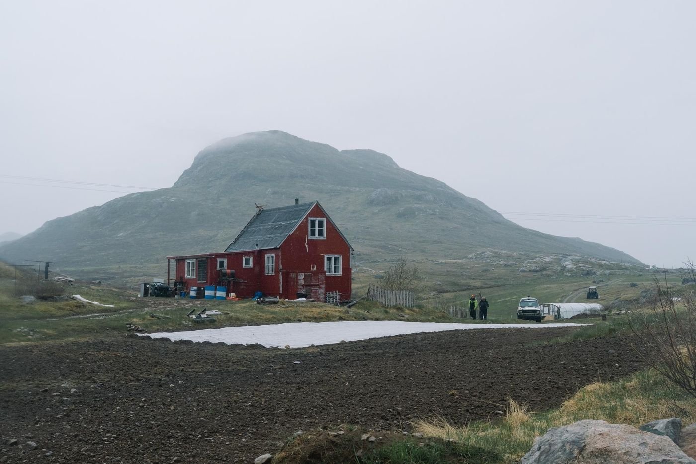 Au Groenland, dans les fermes de l’extrême, les navets du courage
