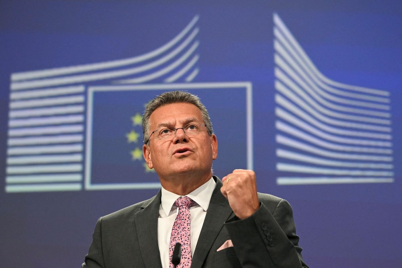 UE-Mercosur : que prévoit Bruxelles pour protéger les agriculteurs européens ?