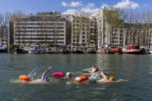 Baignade dans la Seine : trois sites ouverts au public dès cet été