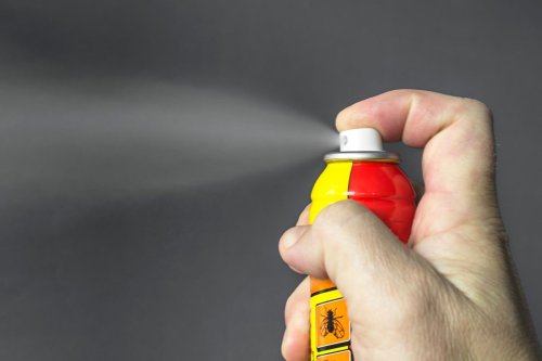 Développement de l’enfant, infertilité, cancers… ces insecticides qui inquiètent l’Anses