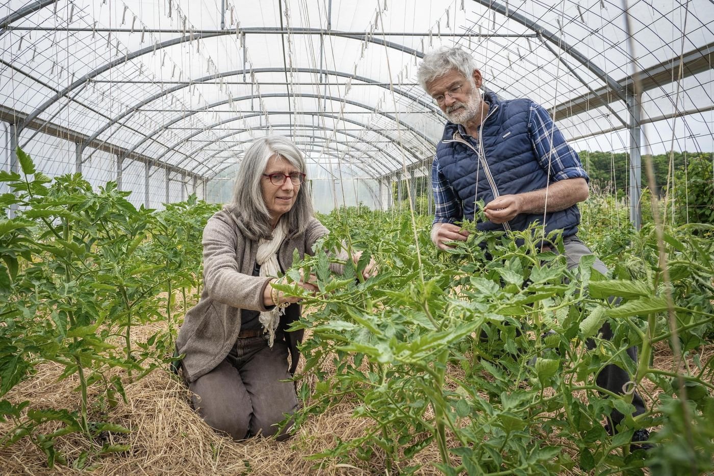 Laudato si’, dix ans après : quel écho chez les agriculteurs catholiques ?