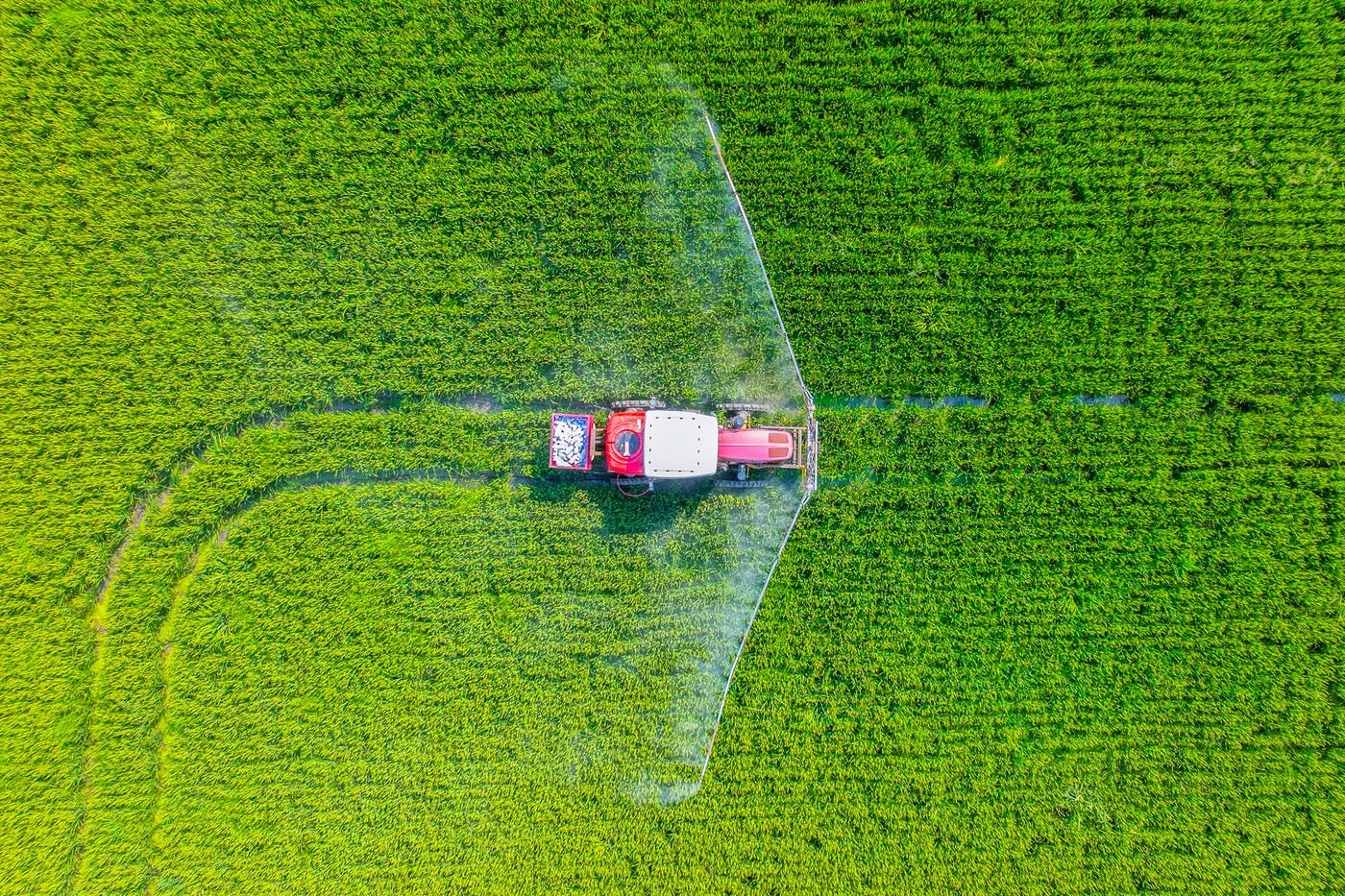 Pesticides : des associations attaquent un décret encadrant le travail de l’Anses