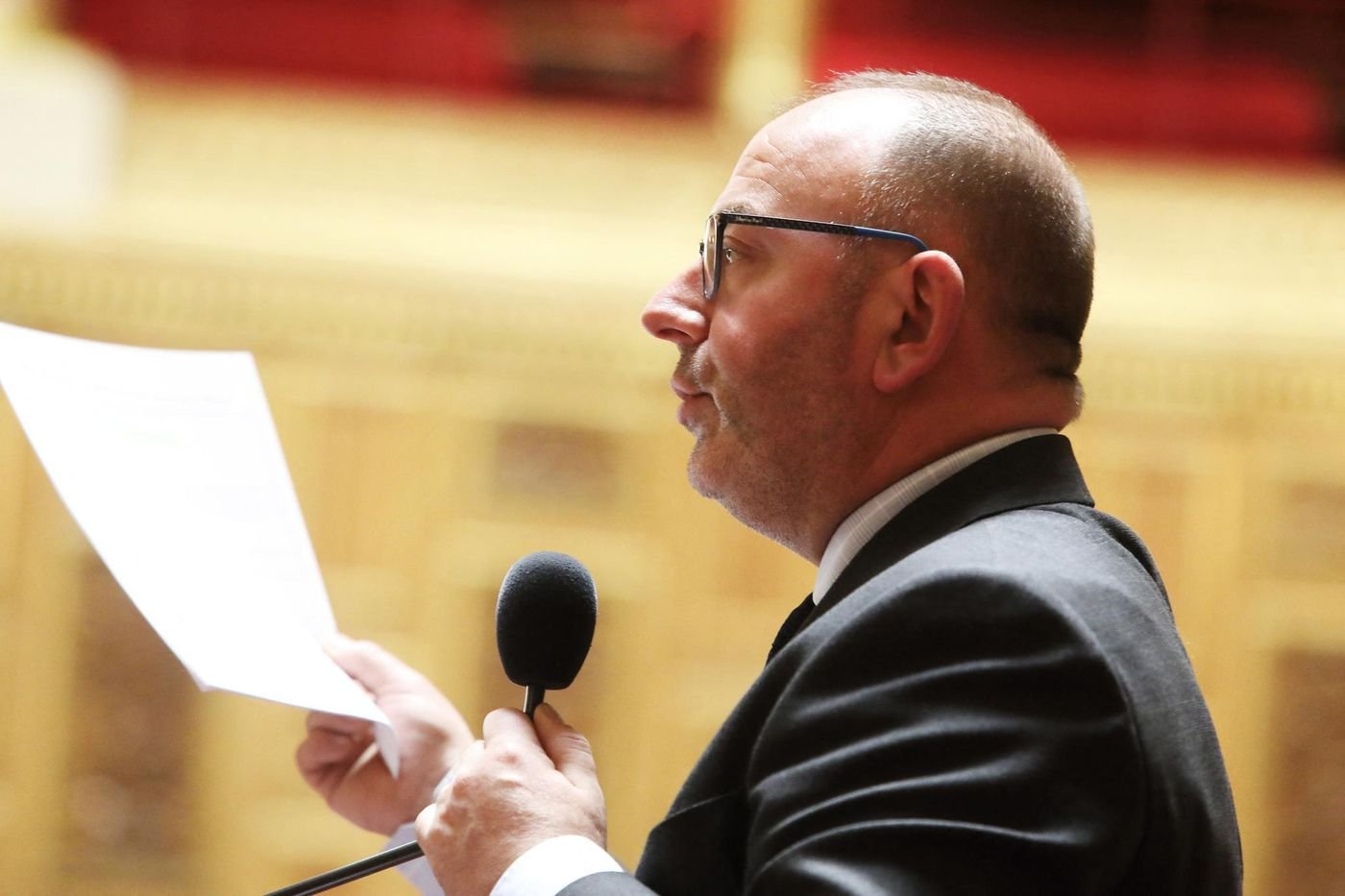 Agriculture : la proposition de loi Duplomb, une loi sur mesure pour la FNSEA