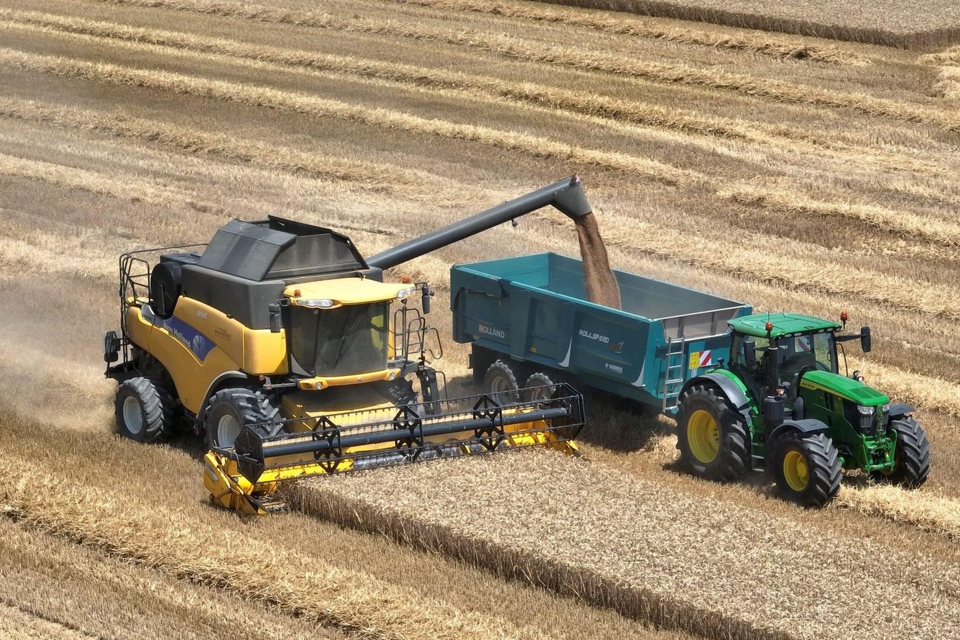 Agriculture : une bonne récolte de blé attendue avec 32,6 millions de tonnes