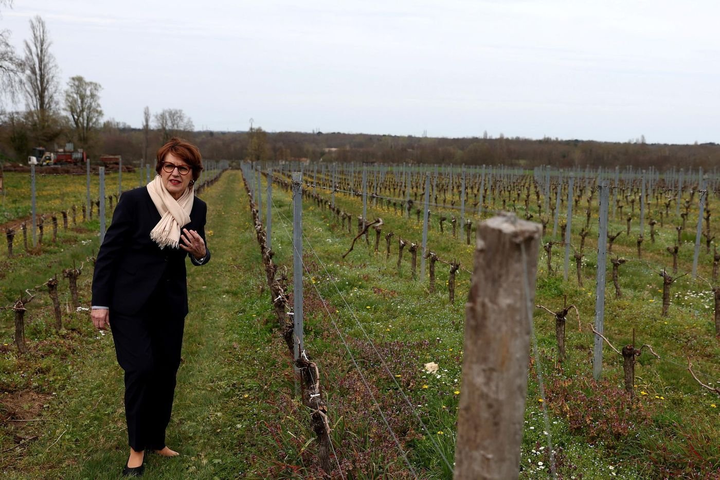 Loi d’orientation agricole, les limites d’un texte trop politique