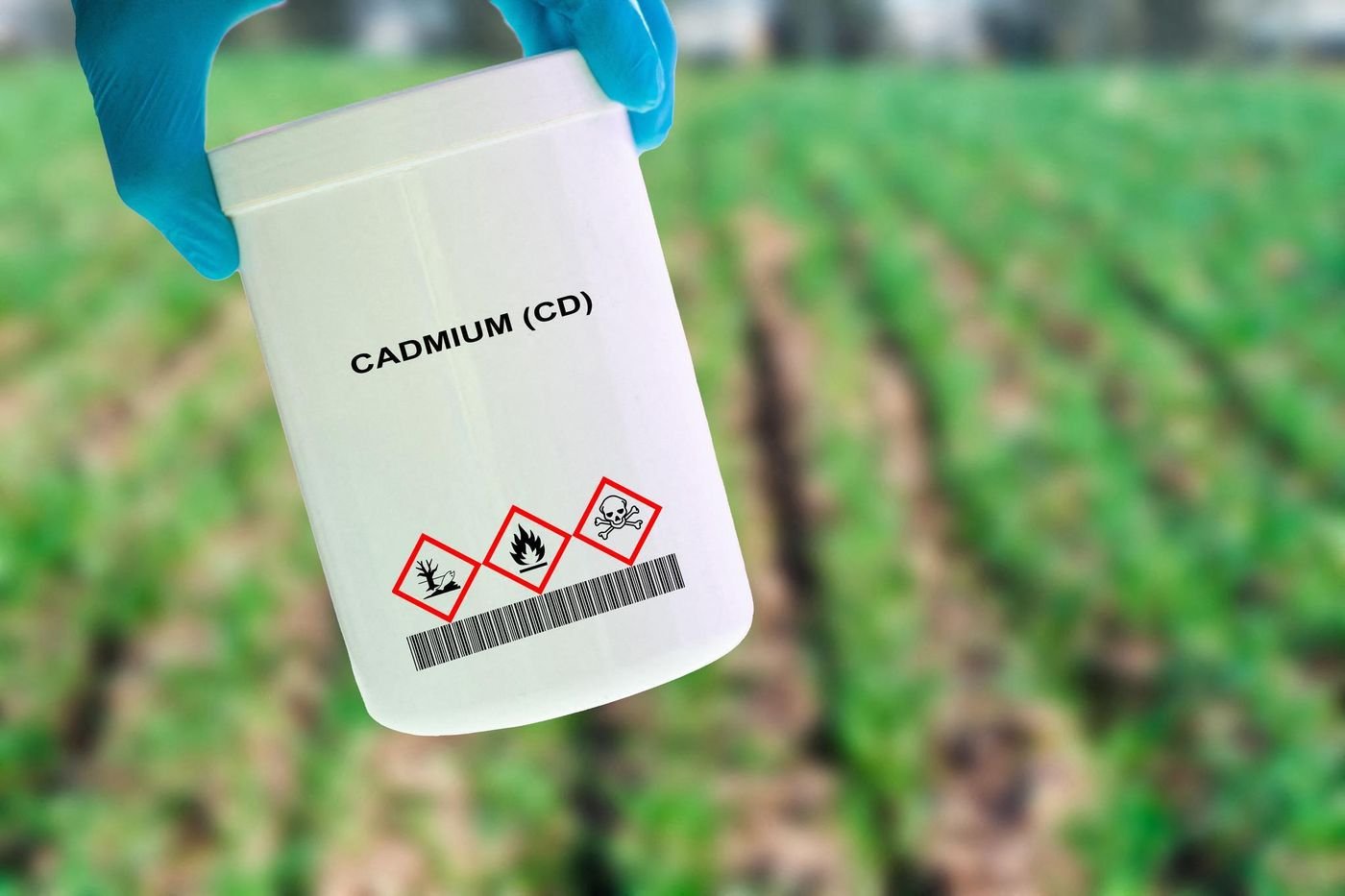 Cadmium : quel est ce métal cancérigène présent dans nos aliments ?