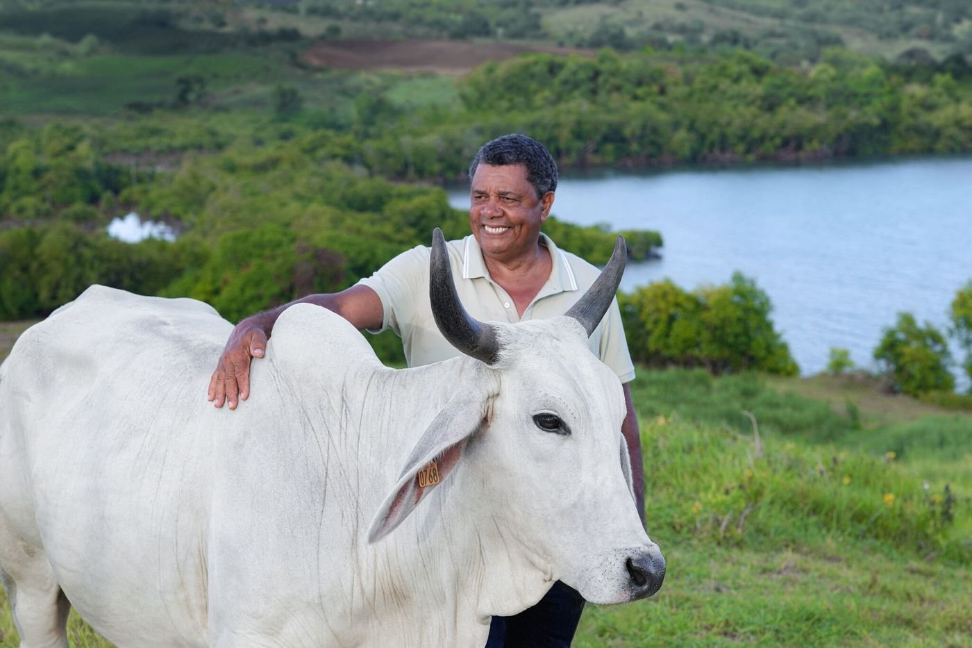 Biguine : l’étonnante vache martiniquaise égérie du prochain Salon de l’agriculture
