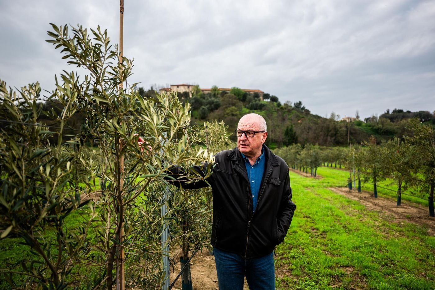 « Face à la sécheresse, il n’y a pas de culture miracle » : dans les Pyrénées-Orientales, l’agriculture à tâtons