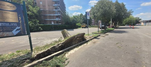 Anche alla destra non piace affatto la Cusano di destra