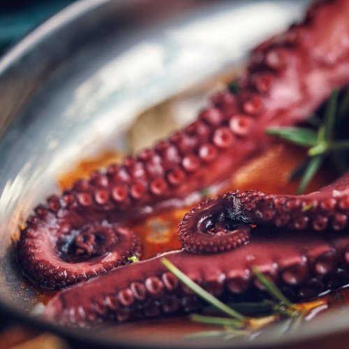 Octopus: The (Unusually) Perfect Ingredient for Savory Pies