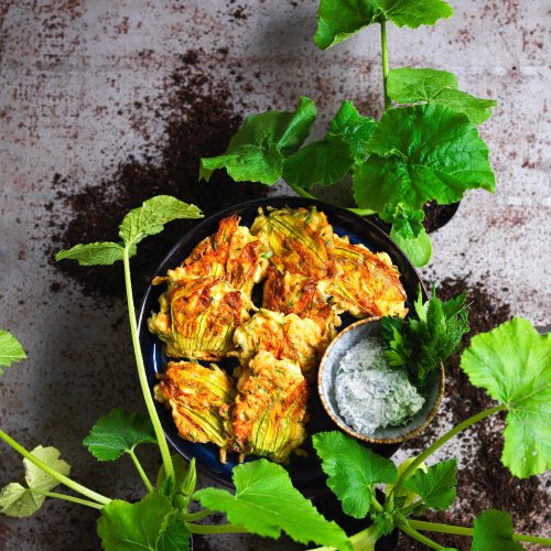 Perfect Zucchini Fritters