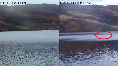 New footage claims Loch Ness Monster 'not alone' with two creatures in ...