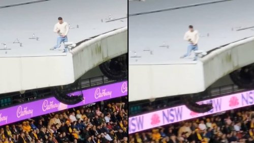 Man Charged After Being Caught Urinating From On Top Of Stadium Flipboard 2223