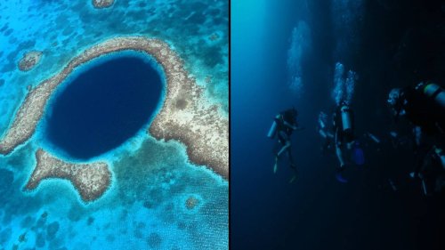 Divers make disturbing discovery after finally reaching bottom of Great ...