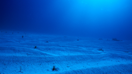 Scientist made worrying discovery when reaching the deepest point in the sea