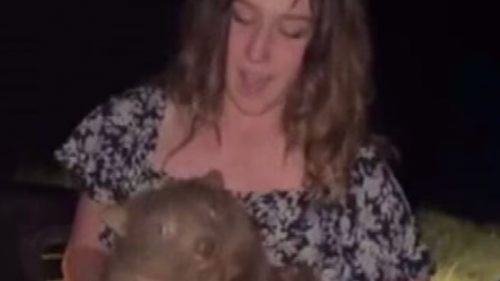 Influencer who took baby wombat from its distressed mother slams Australian Government in shocking statement