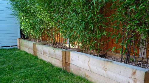 First-time buyer withdraws offer after spotting a 'red flag' in the garden