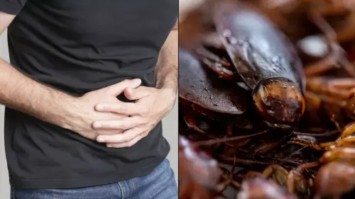 Man complaining of indigestion left horrified after finding out something was living inside of him