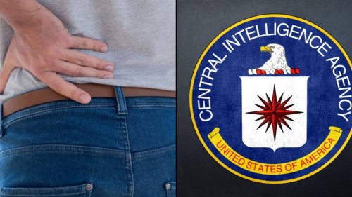 The CIA has a secret method which 'makes pain disappear'