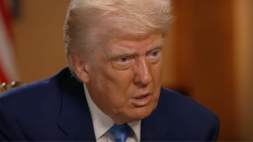 People think Trump accidentally said too much as he discusses how much money he made in interview