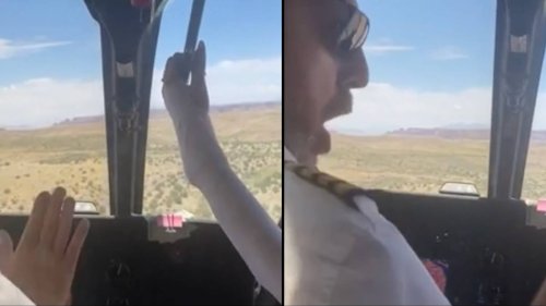 Pilot yells at tourist 'that will kill us' after she grabs helicopter lever during Grand Canyon flight