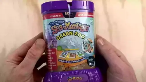 Dark reality behind childhood favourite toy Sea Monkeys