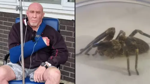 Brit 'left 12 hours from death' after 500 terrifying venomous spiders invaded his home