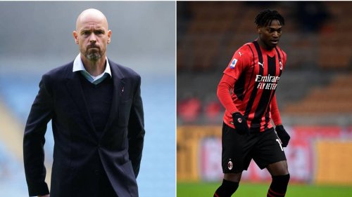 Man United Identify Cody Gakpo Plan B As Ten Hag Could Hijack Chelsea's ...