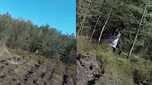 Seriously creepy drone footage captured 'black eyed girl' running through Cannock Chase forest