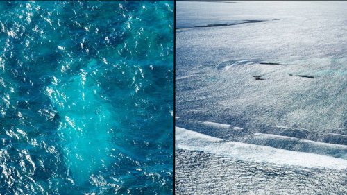 New evidence shows ‘world’s worst shipwreck’ was way more violent than previously thought