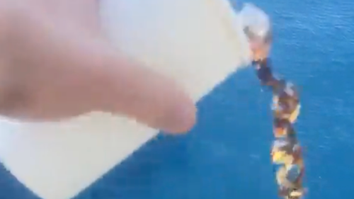 Horrifying video shows one of the reasons falling overboard is a ‘death trap’