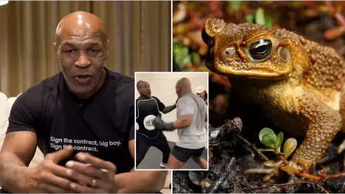 Mike Tyson explains how 'psychedelic toad' convinced him to make boxing return