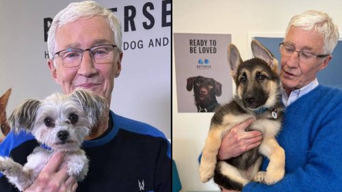 Battersea Dogs and Cats Home to receive £100,000 in donations following Paul O'Grady's death