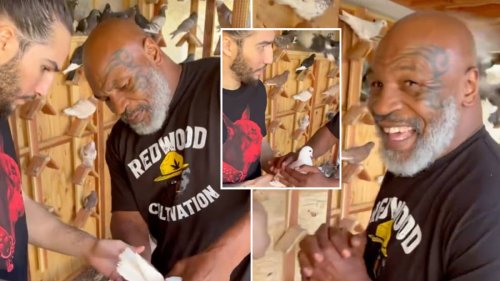 Mike Tyson Invites Muhammad Ali’s Grandson To See His Pigeons, They ...