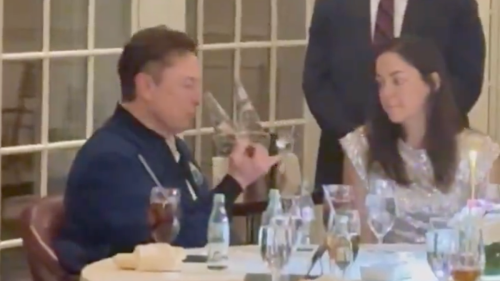 People left confused after viewing viral clip of Elon Musk’s dinner table actions