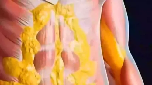 Jaw dropping simulation shows what happens to your body while fasting for 36 hours to achieve 'full reset'