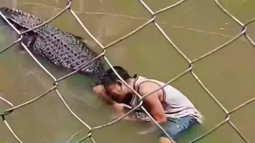 Tourist brutally attacked by crocodile after climbing into enclosure to take selfie with it