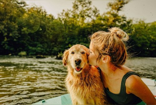 Les 5 conseils d’un vétérinaire pour profiter des vacances d'été avec votre animal de compagnie en toute tranquillité